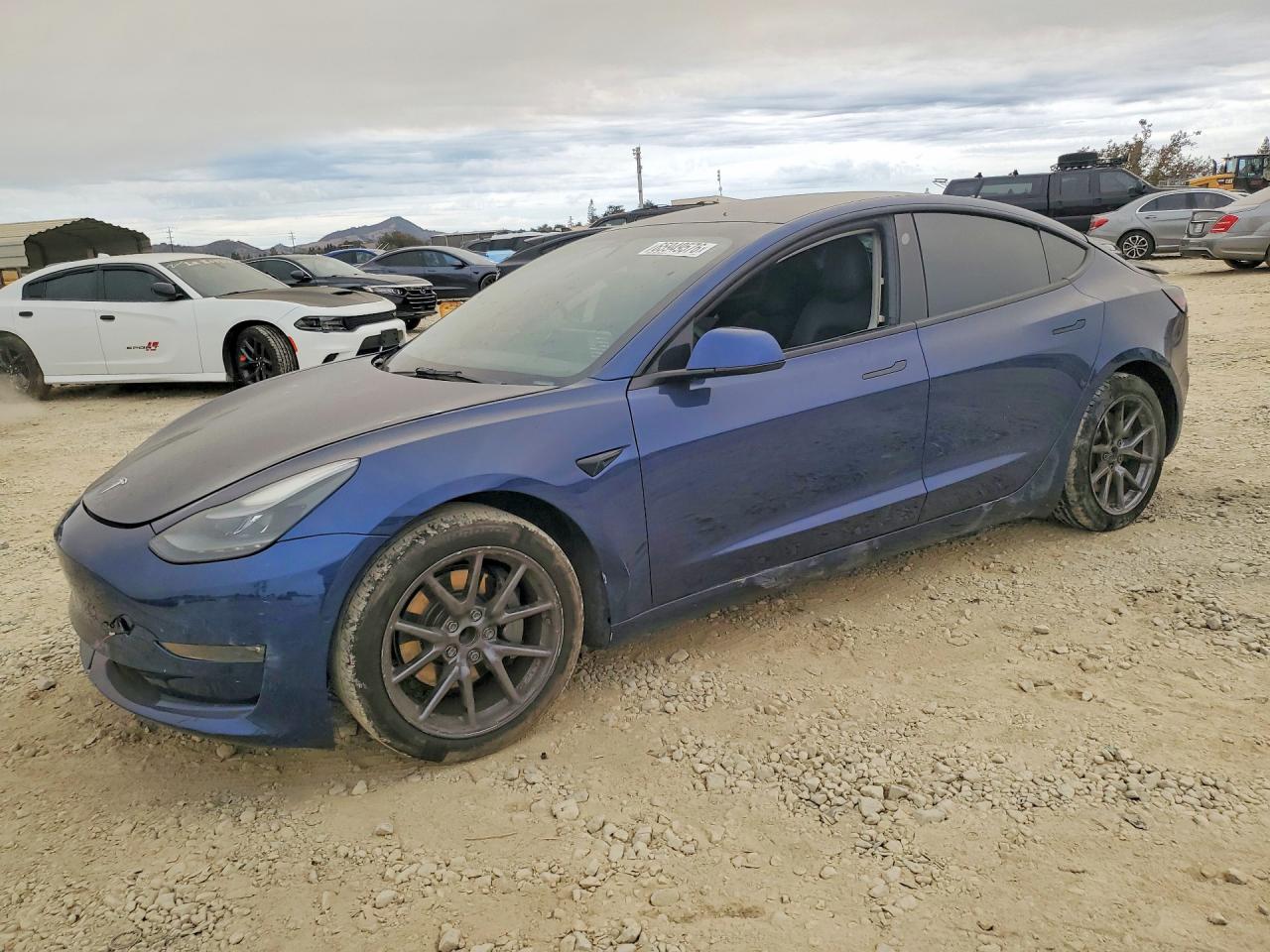 Photo of the 2022 TESLA MODEL 3