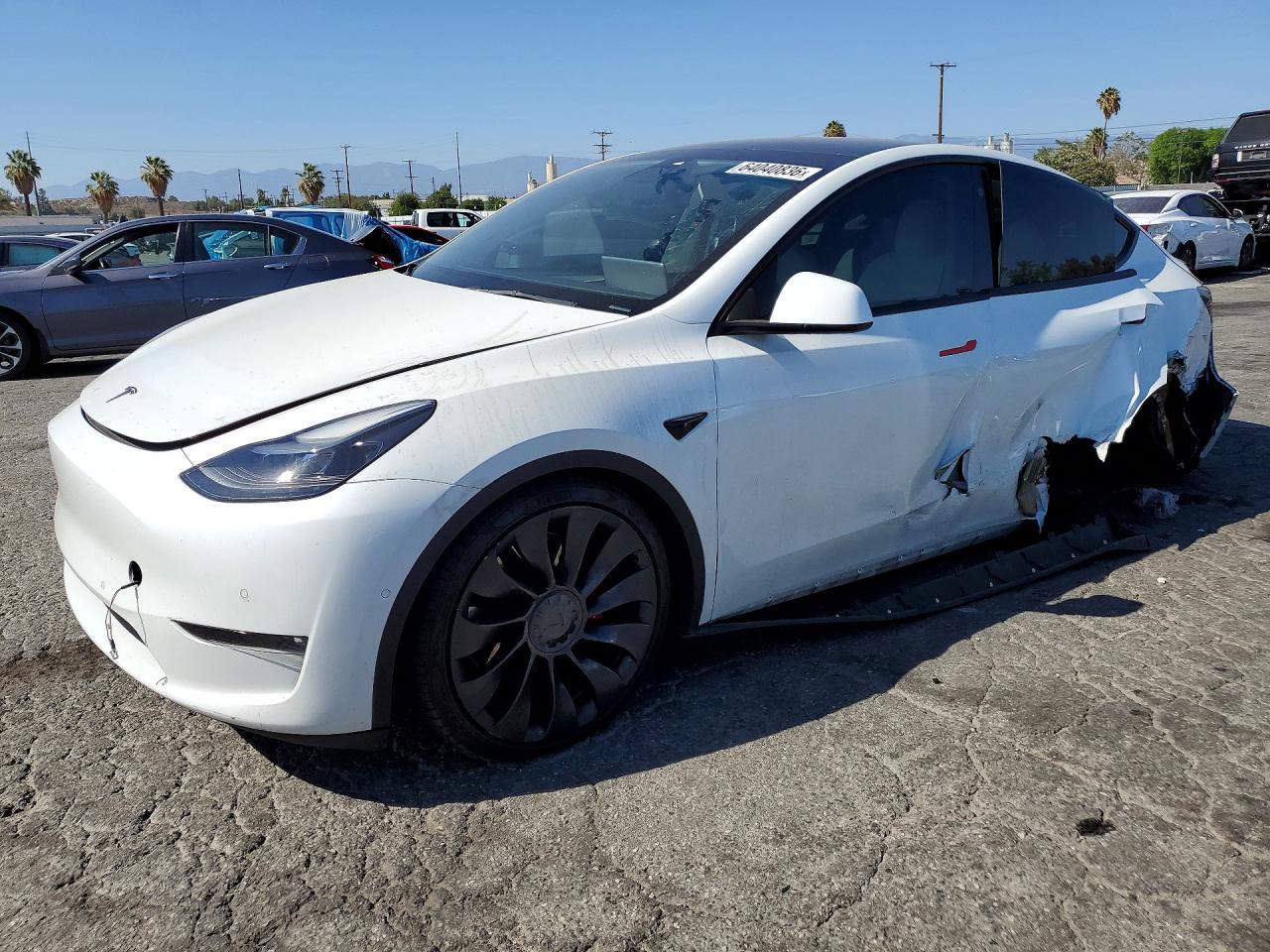 Photo of the 2022 TESLA MODEL Y