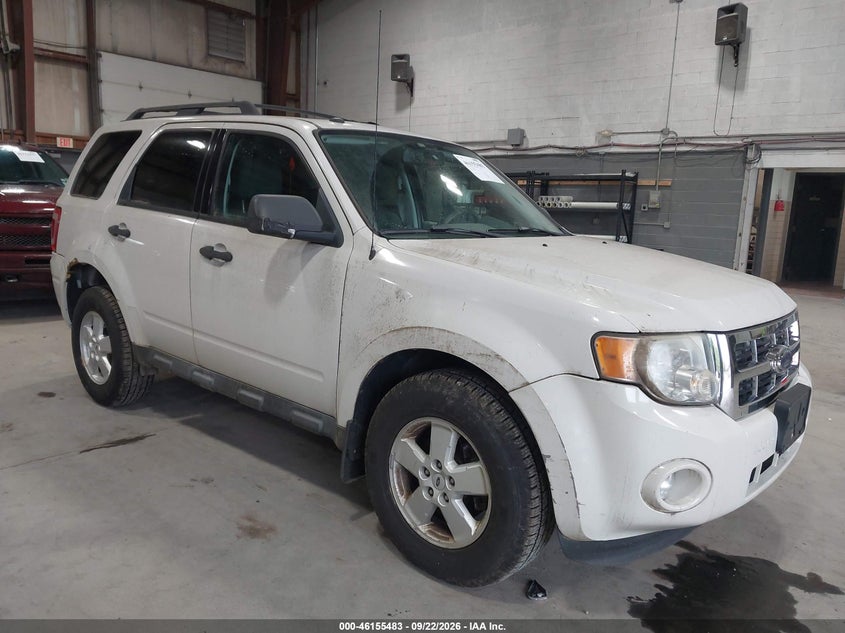 Photo of the 2009 FORD ESCAPE XLT