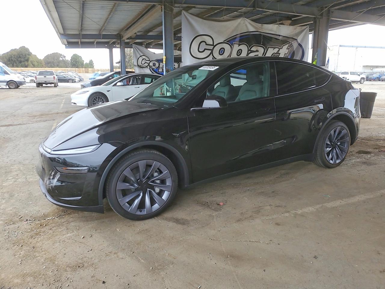 Photo of the 2026 TESLA MODEL Y