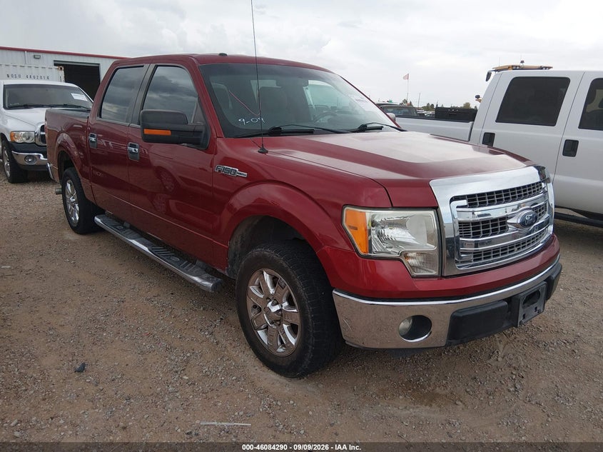 Photo of the 2013 FORD F-150 XLT