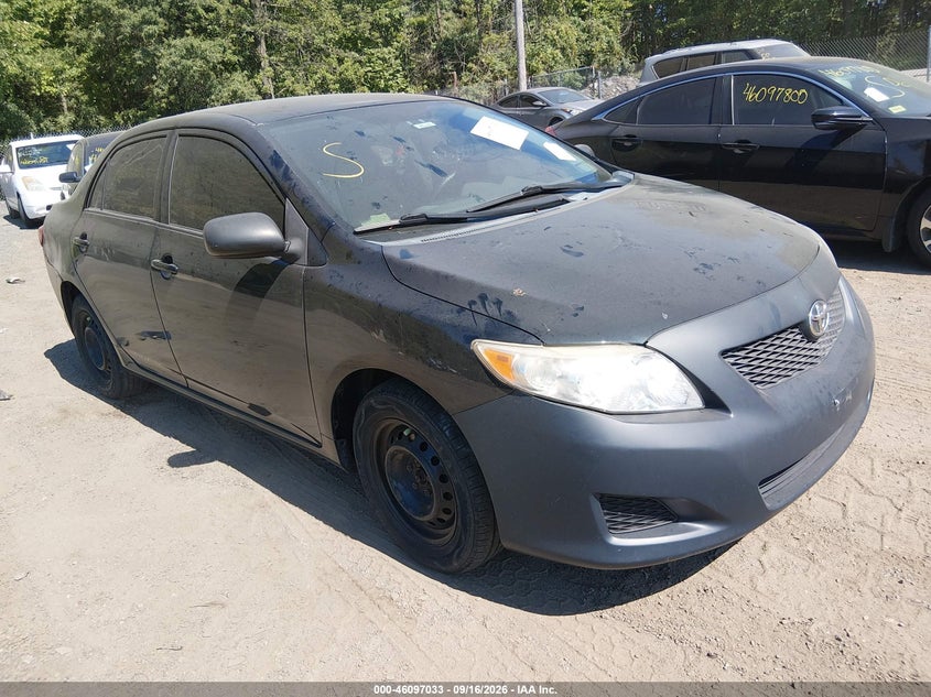 Photo of the 2010 TOYOTA COROLLA LE