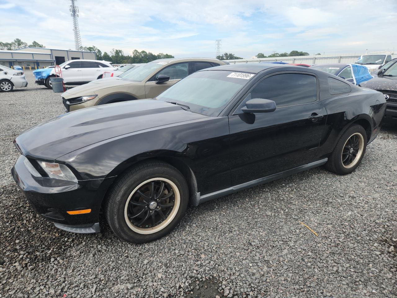 Photo of the 2010 FORD MUSTANG