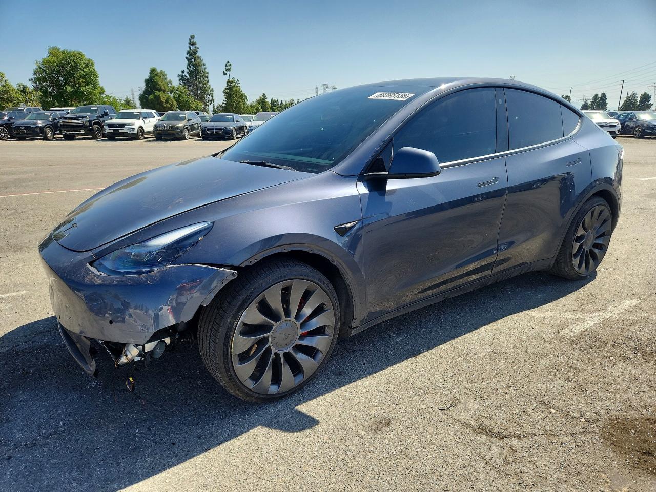 Photo of the 2022 TESLA MODEL Y