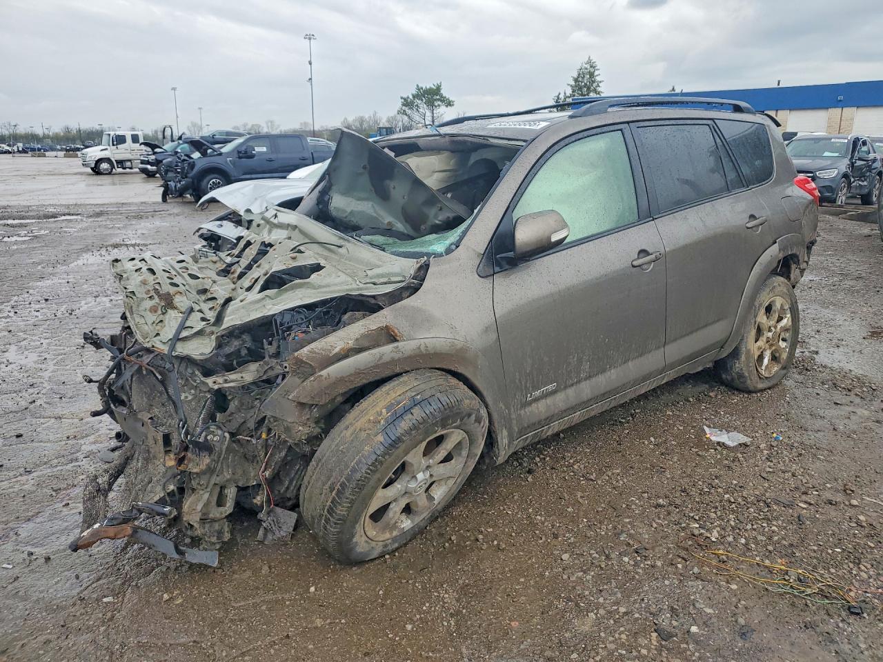 Photo of the 2010 TOYOTA RAV4 LIMITED