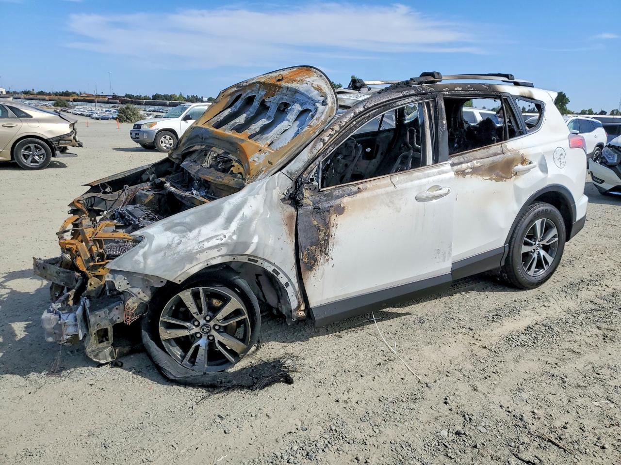 Photo of the 2017 TOYOTA RAV4 XLE