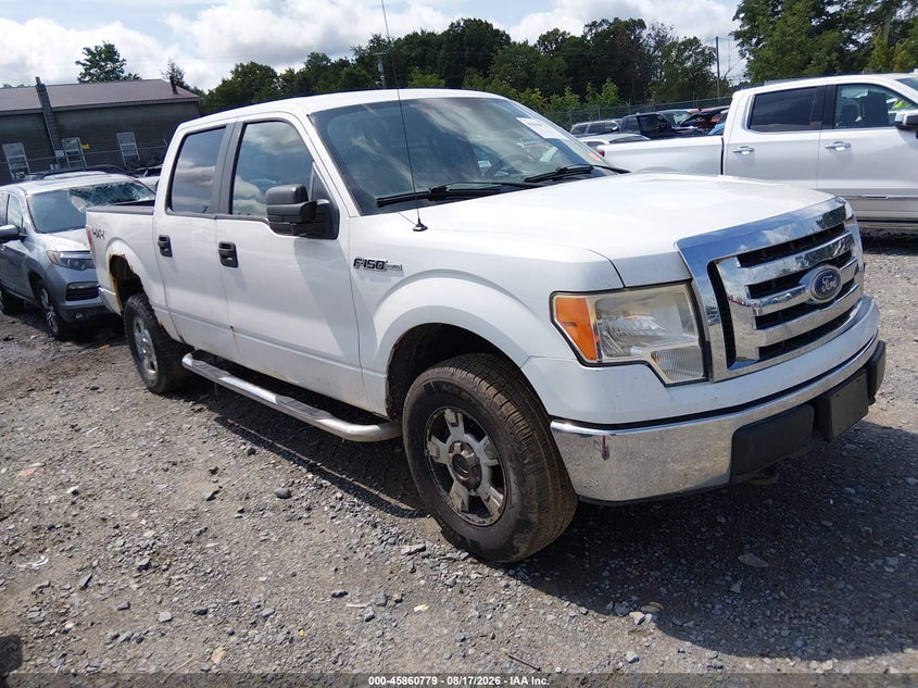Photo of the 2010 FORD F-150 XL/XLT