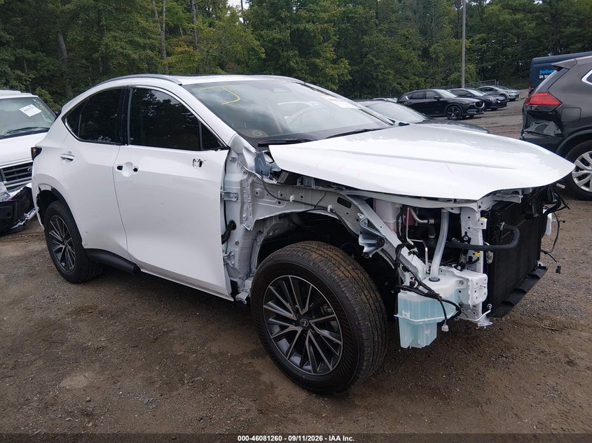 Photo of the 2026 LEXUS NX 350H
