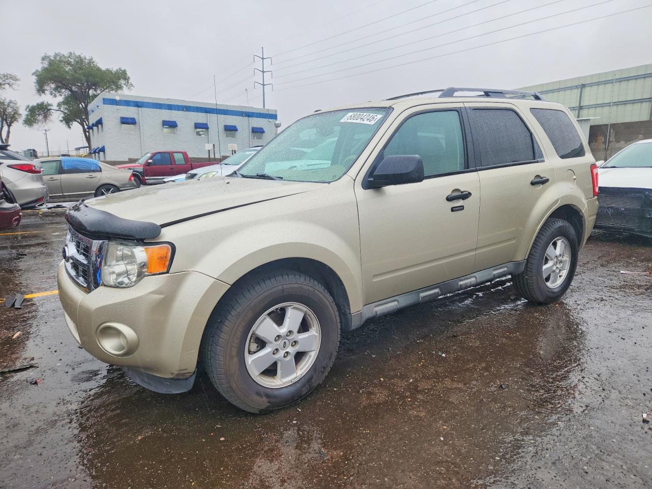 Photo of the 2012 FORD ESCAPE XLT