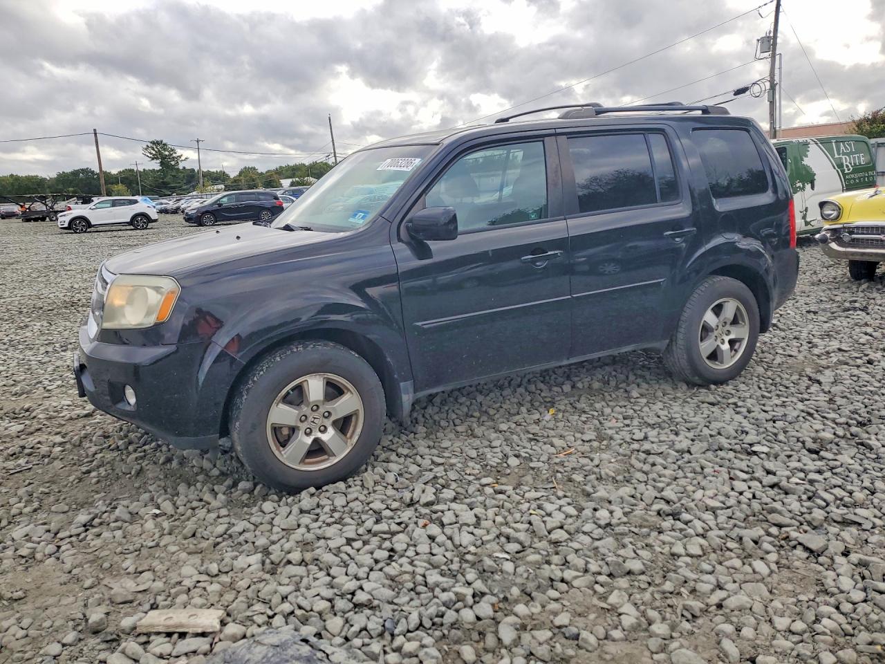 Photo of the 2011 HONDA PILOT EX