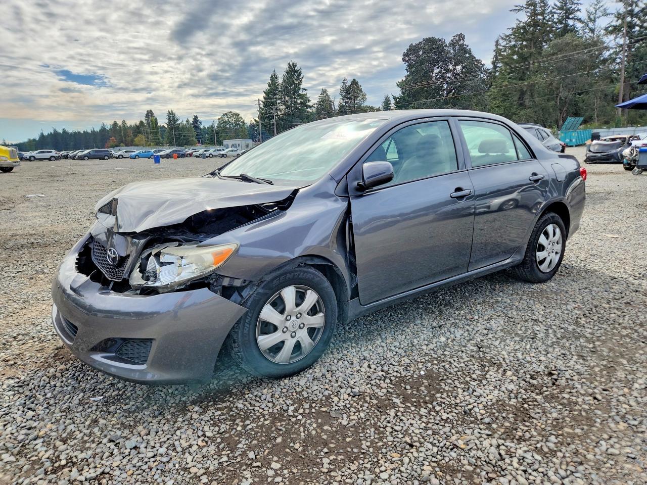 Photo of the 2010 TOYOTA COROLLA LE