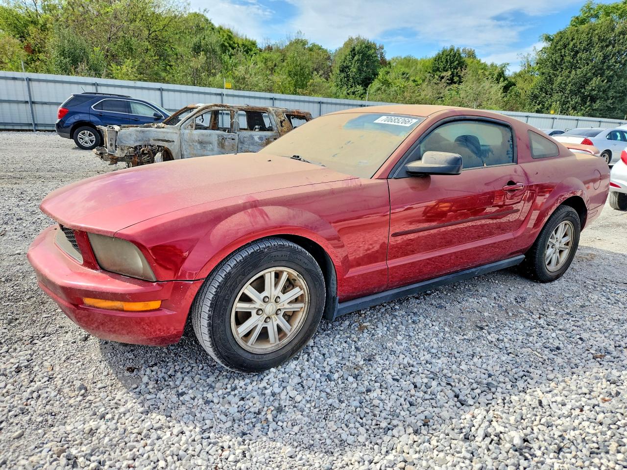Photo of the 2007 FORD MUSTANG