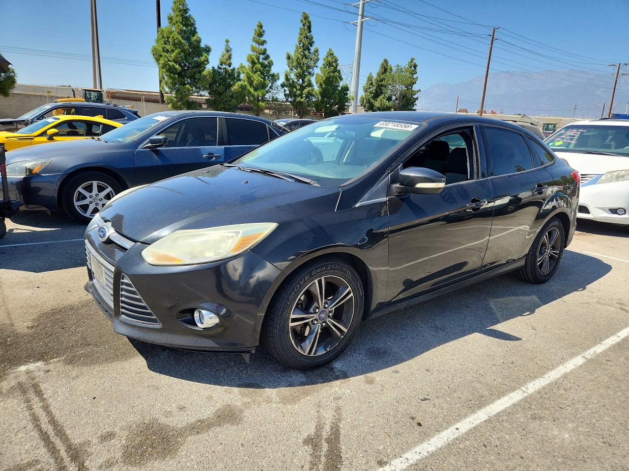 Photo of the 2014 FORD FOCUS SE