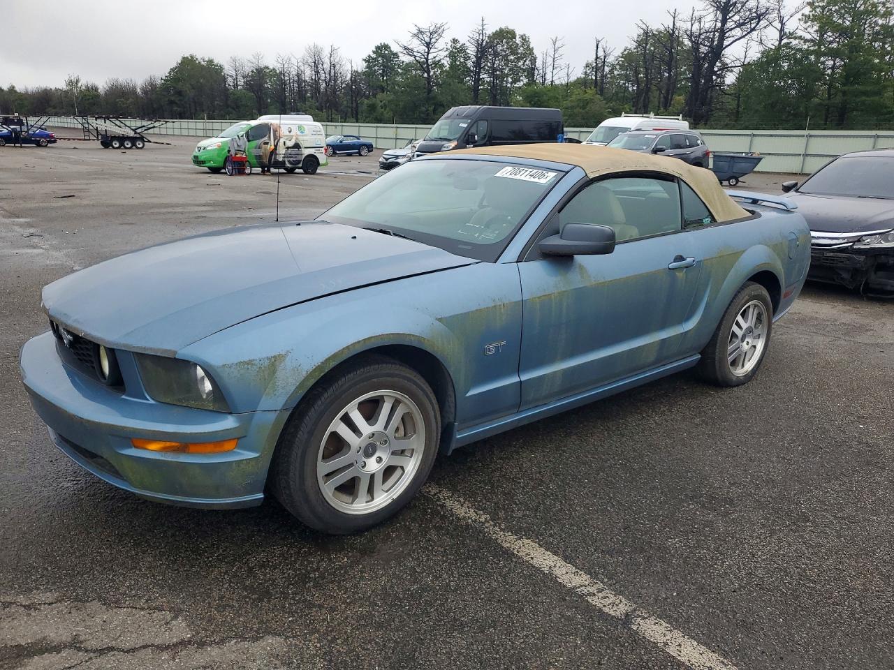 Photo of the 2005 FORD MUSTANG