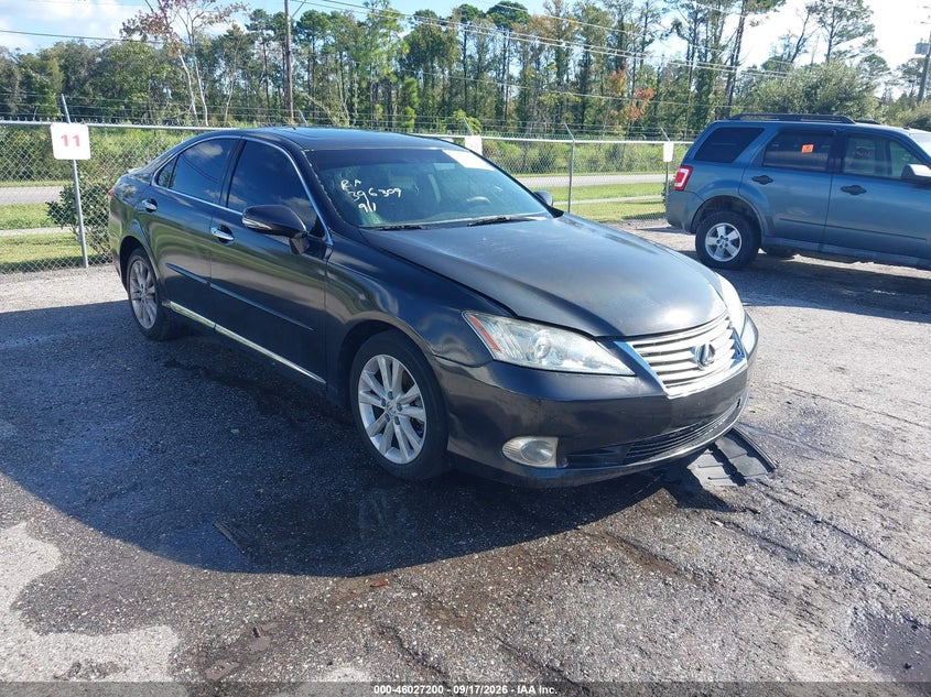 Photo of the 2010 LEXUS ES 350