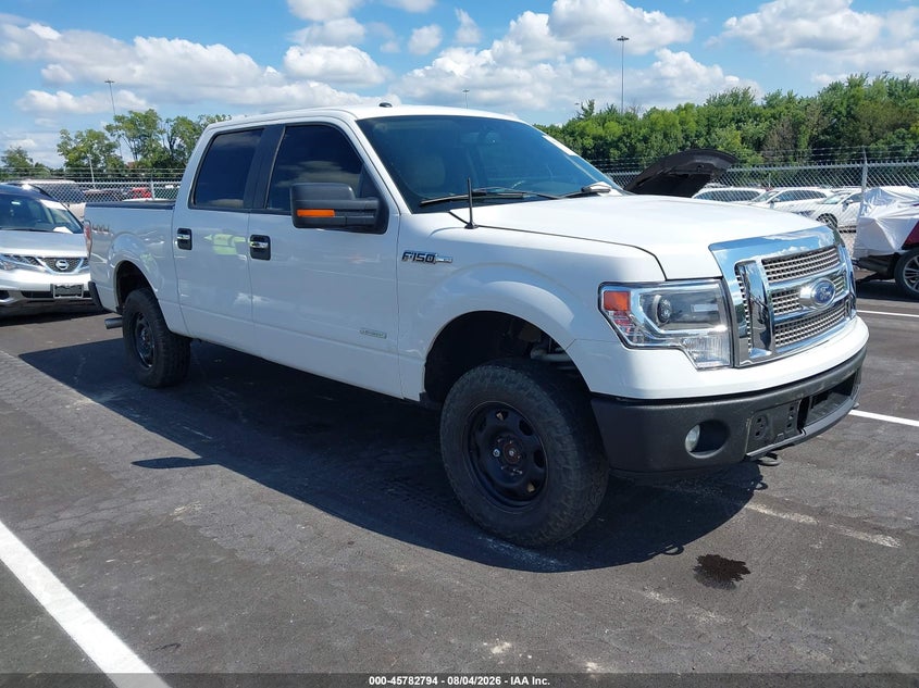 Photo of the 2014 FORD F-150 XLT