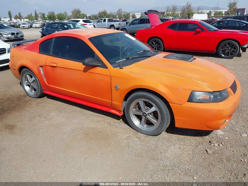 Photo of the 2004 FORD MUSTANG MACH 1