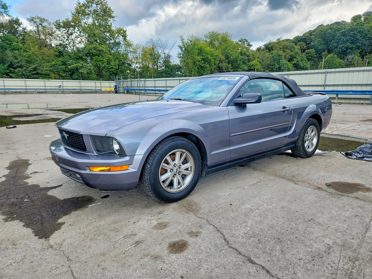Photo of the 2007 FORD MUSTANG