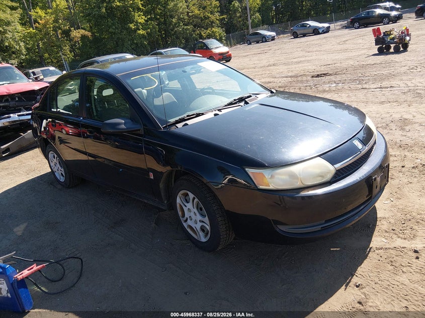Photo of the 2004 SATURN ION 2