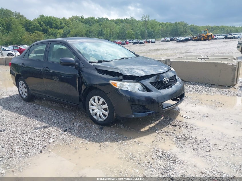 Photo of the 2009 TOYOTA COROLLA LE