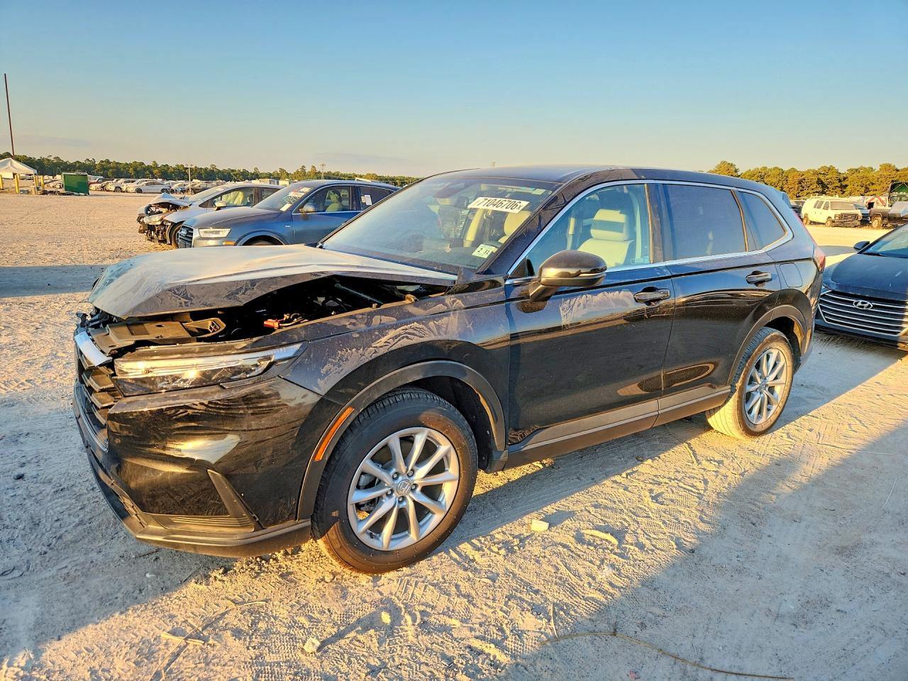 Photo of the 2026 HONDA CR-V EXL