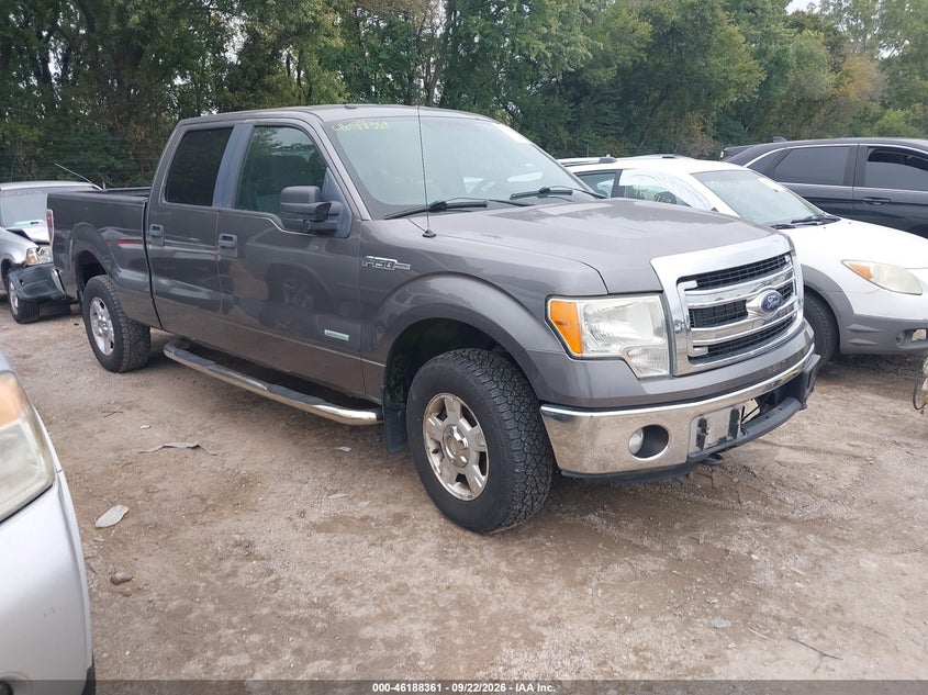 Photo of the 2013 FORD F-150 XLT