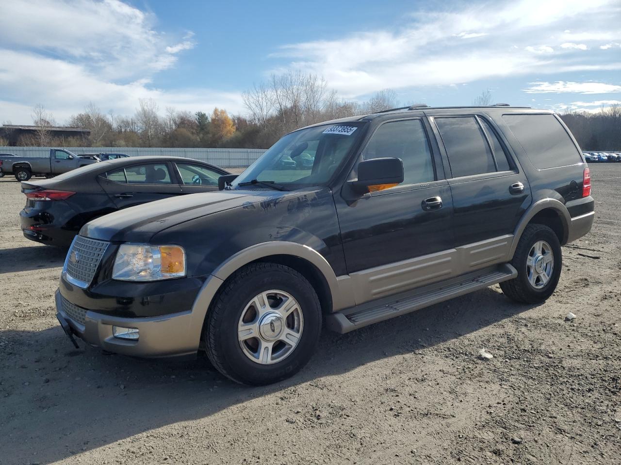 Photo of the 2003 FORD EXPEDITION EDDIE BAUER