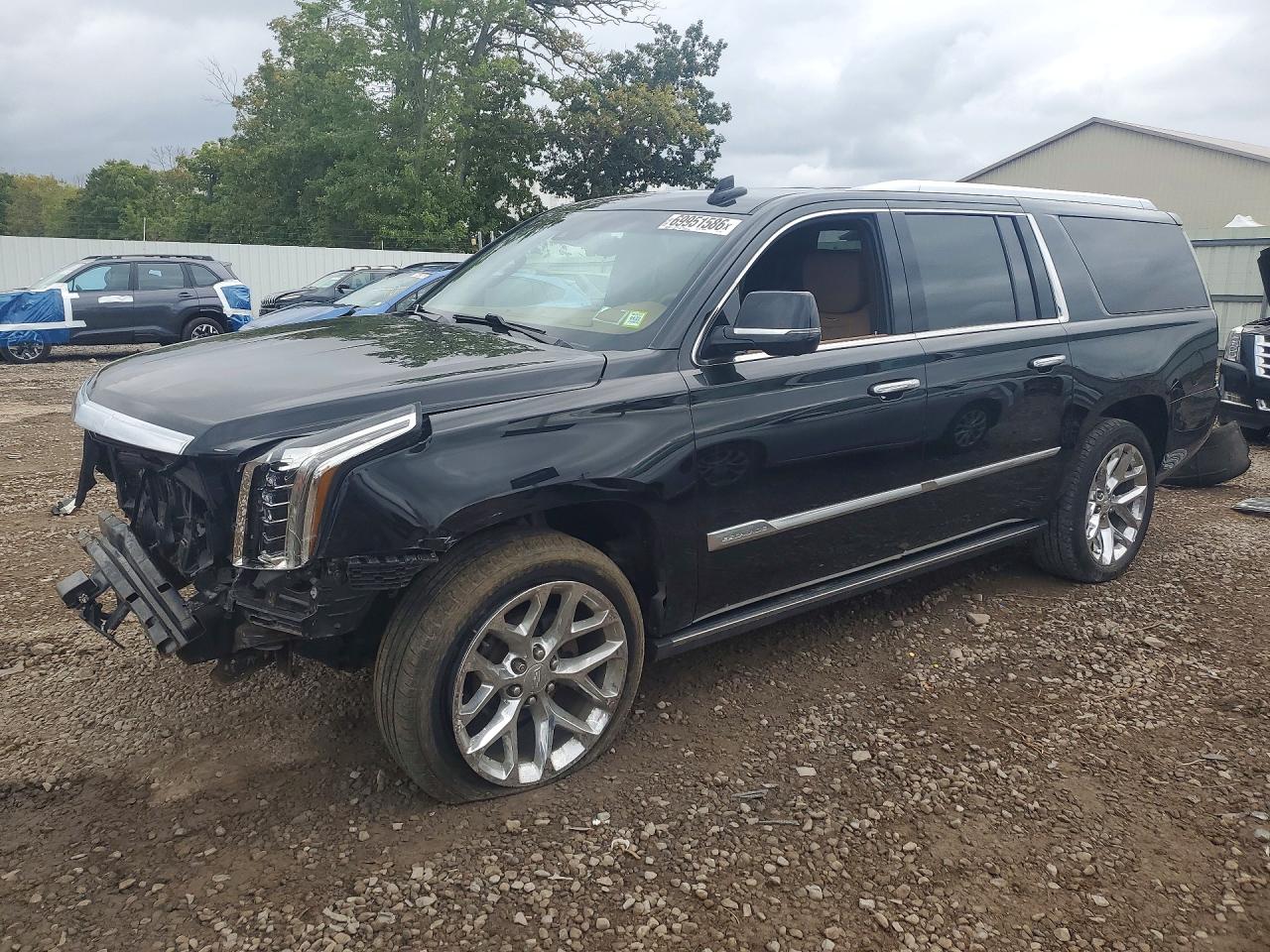 Photo of the 2017 CADILLAC ESCALADE ESV PLATINUM
