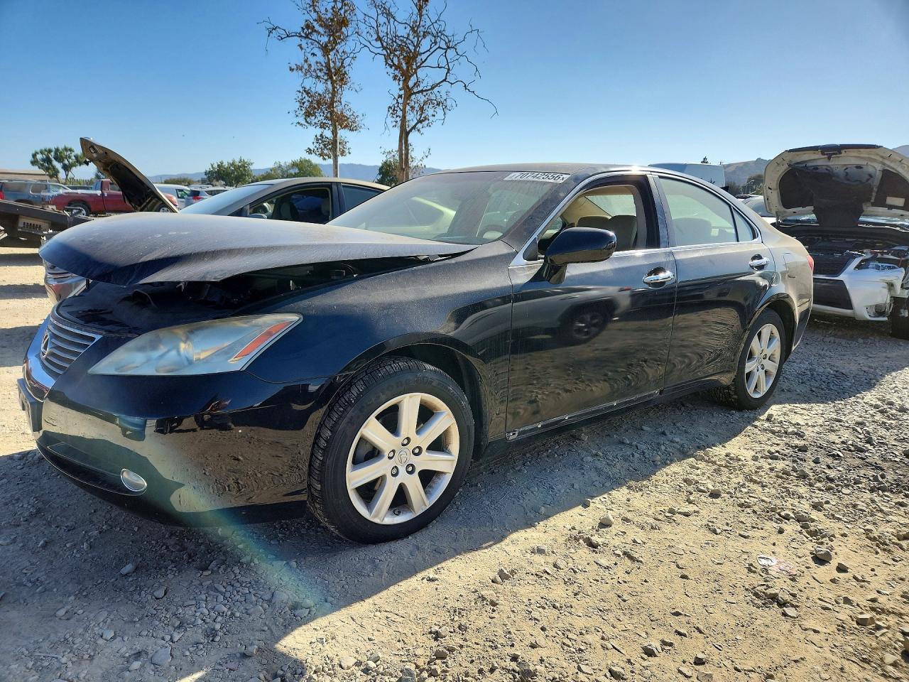 Photo of the 2009 LEXUS ES 350