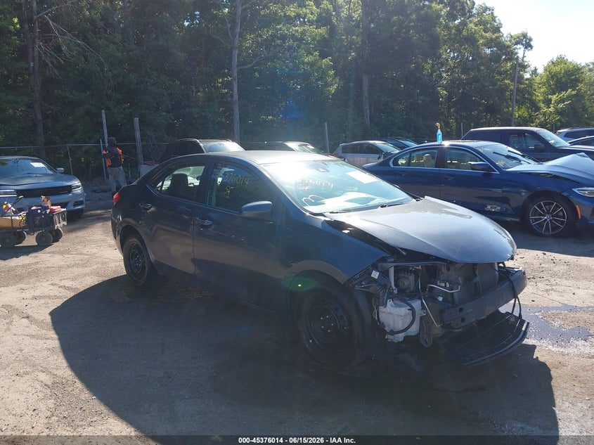 Photo of the 2019 TOYOTA COROLLA LE