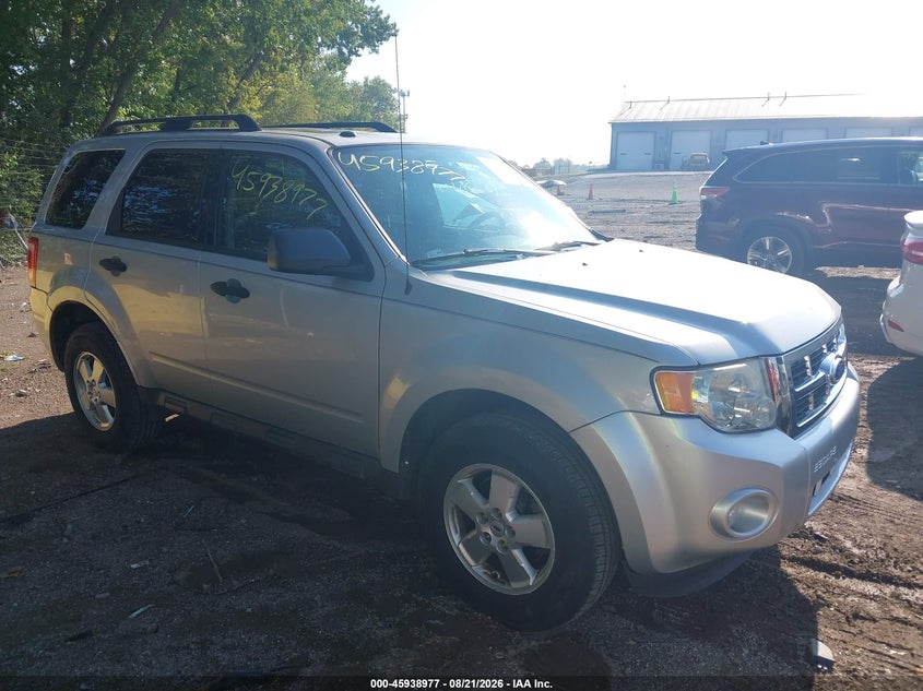 Photo of the 2011 FORD ESCAPE XLT