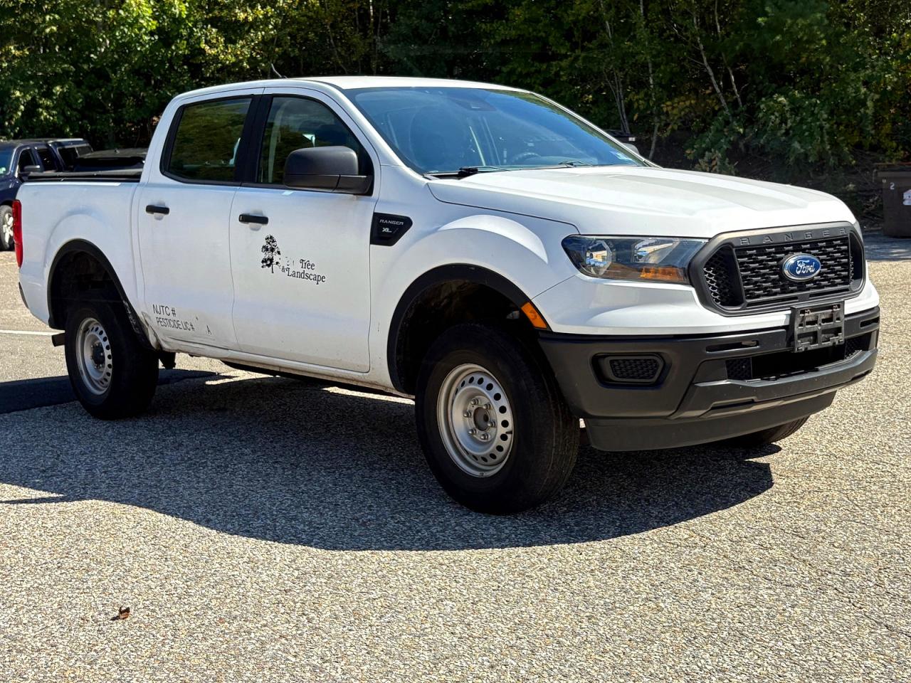 Photo of the 2019 FORD RANGER XL