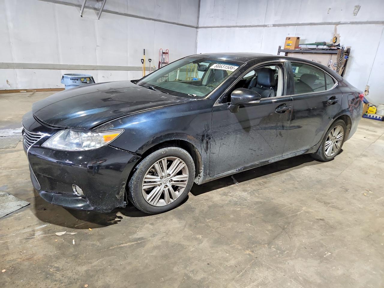 Photo of the 2013 LEXUS ES 350