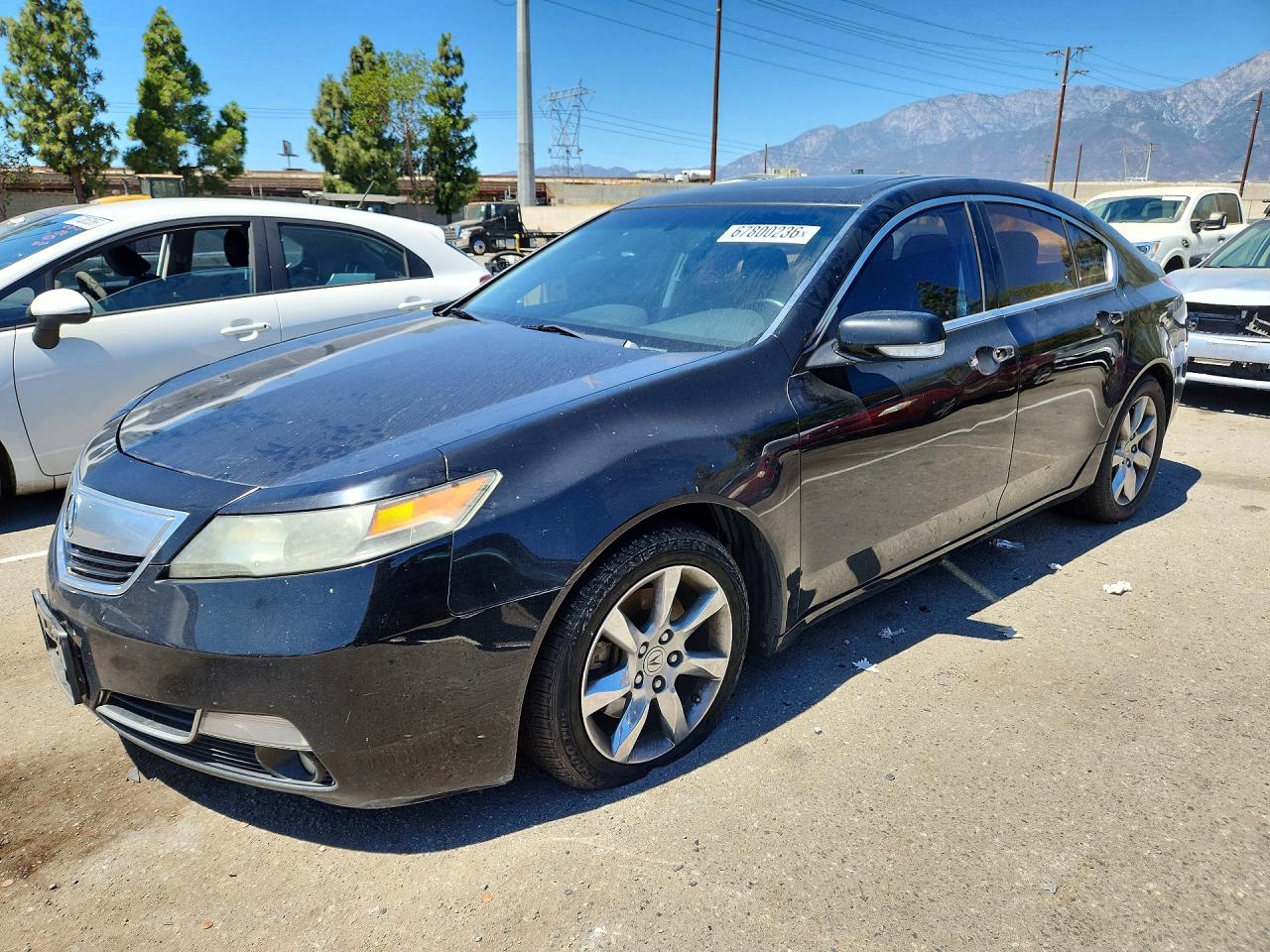 Photo of the 2012 ACURA TL
