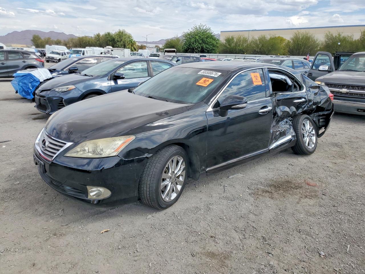 Photo of the 2010 LEXUS ES 350