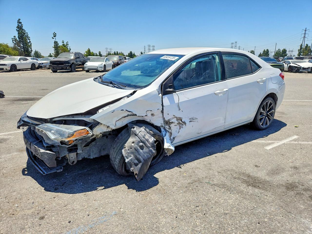 Photo of the 2019 TOYOTA COROLLA LE