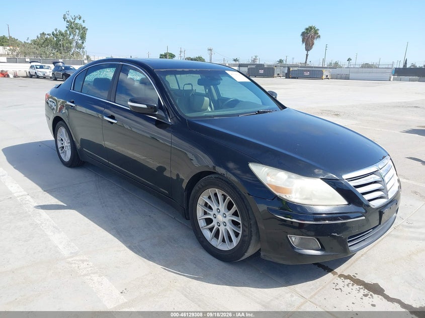 Photo of the 2010 HYUNDAI GENESIS 3.8
