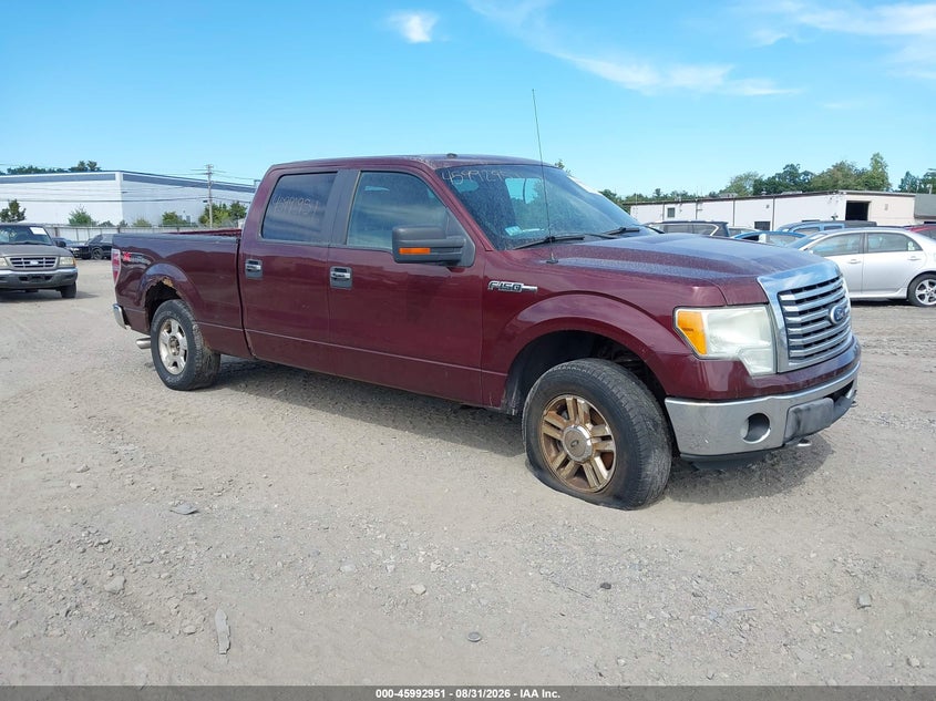 Photo of the 2010 FORD F-150 FX4/HARLEY-DAVIDSON/KING RANCH/LARIAT/PLATINUM/XL/XLT