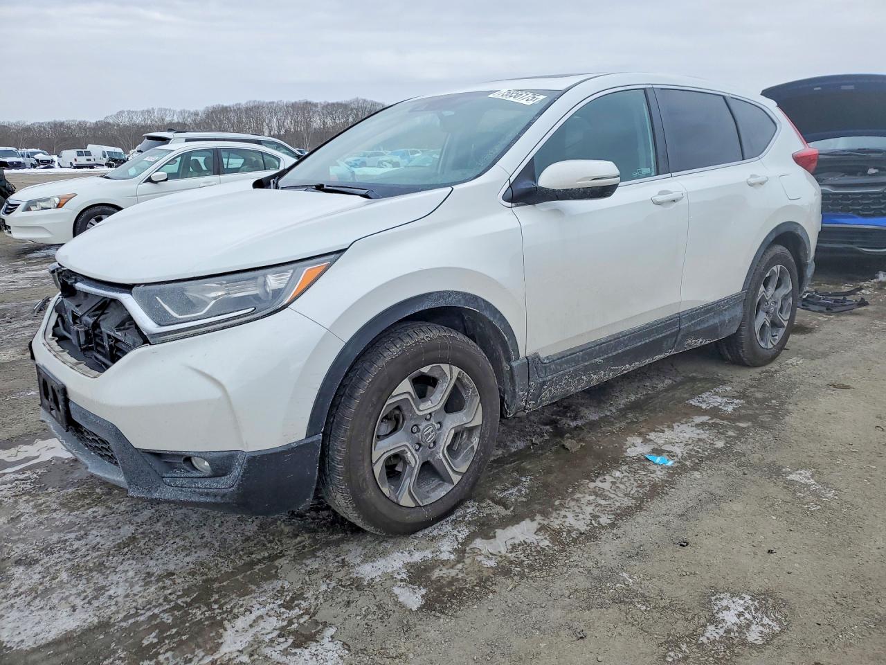Photo of the 2019 HONDA CR-V EXL