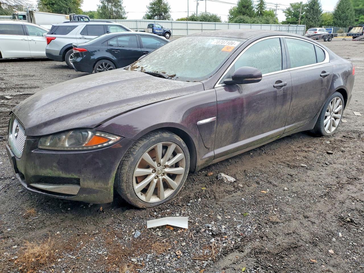 Photo of the 2013 JAGUAR XF