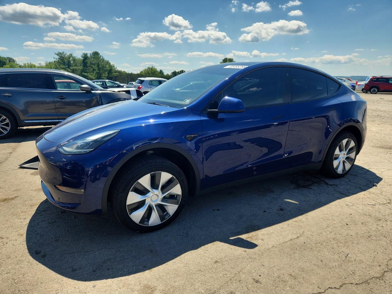 Photo of the 2023 TESLA MODEL Y