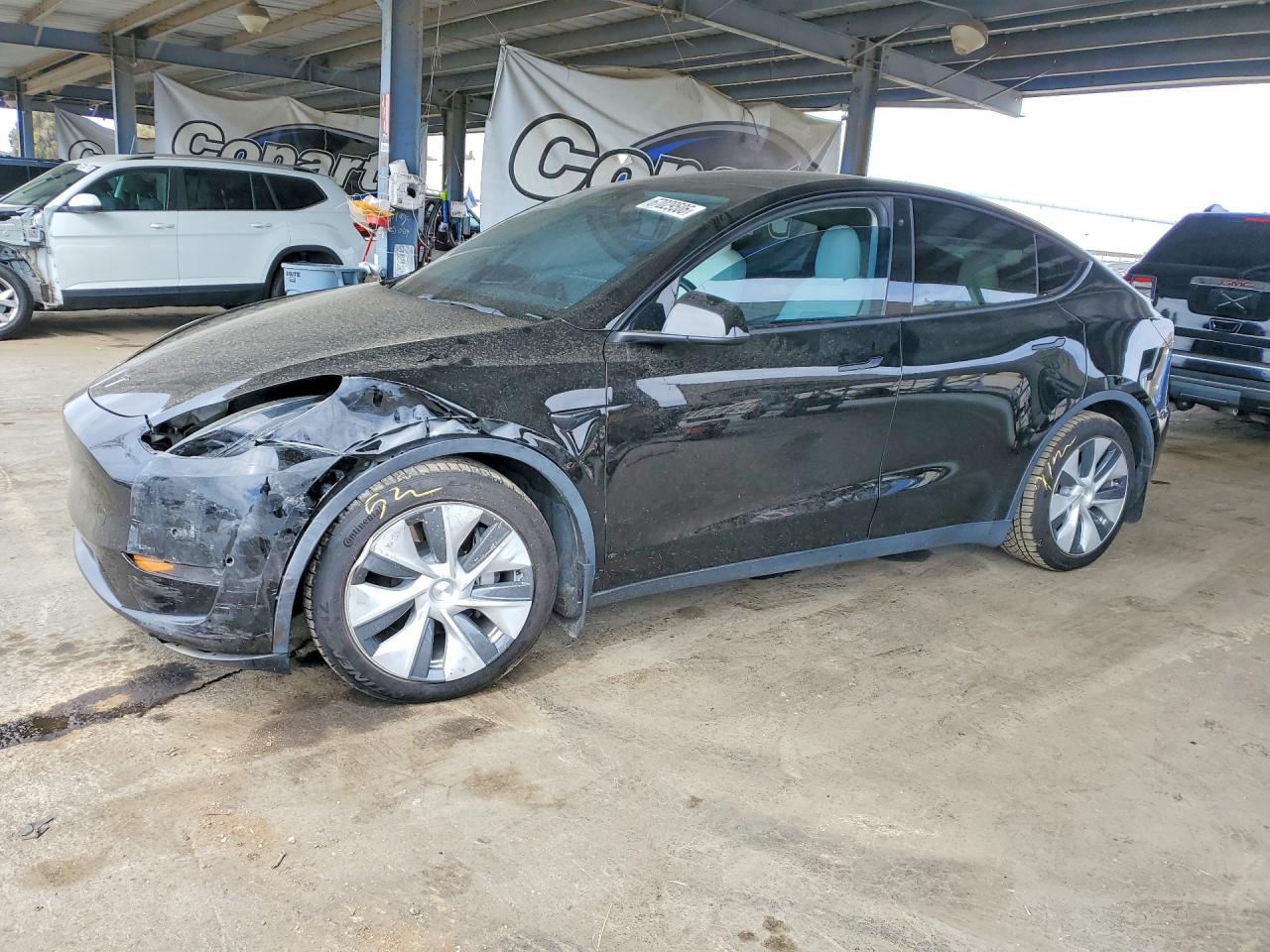 Photo of the 2021 TESLA MODEL Y
