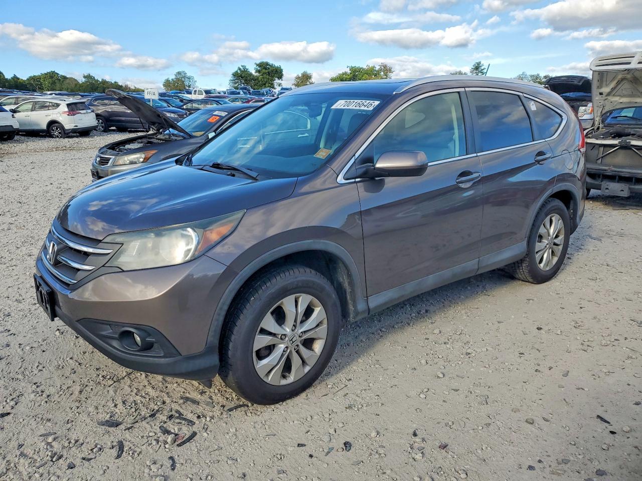 Photo of the 2014 HONDA CR-V EXL