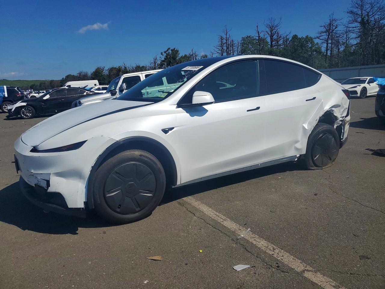 Photo of the 2026 TESLA MODEL Y