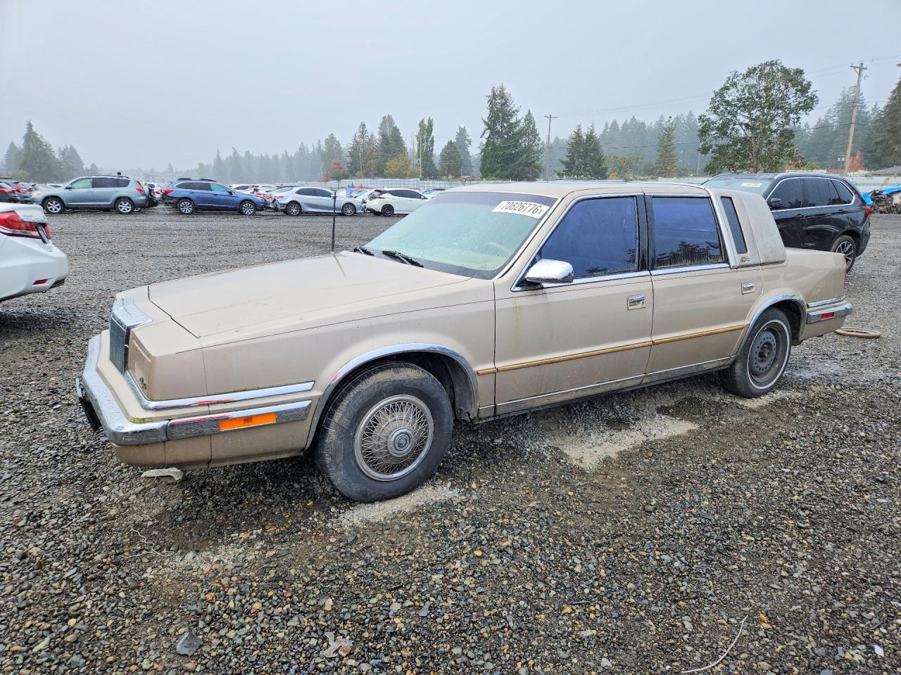 Photo of the 1991 CHRYSLER NEW YORKER FIFTH AVENUE