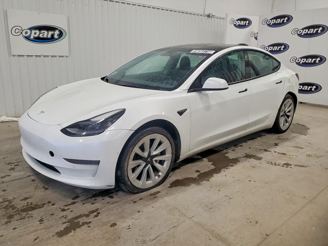 Photo of the 2022 TESLA MODEL 3