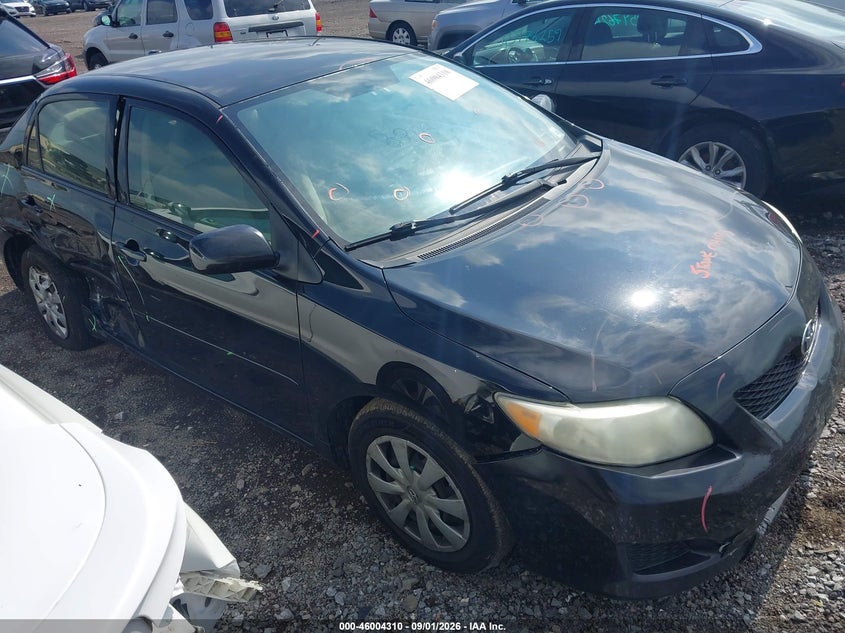 Photo of the 2010 TOYOTA COROLLA LE