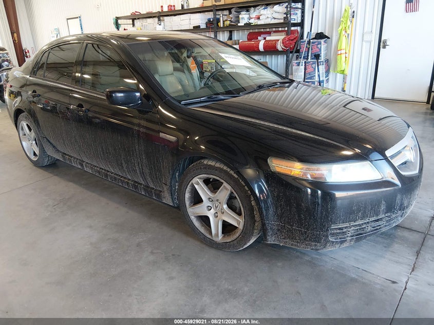 Photo of the 2006 ACURA TL