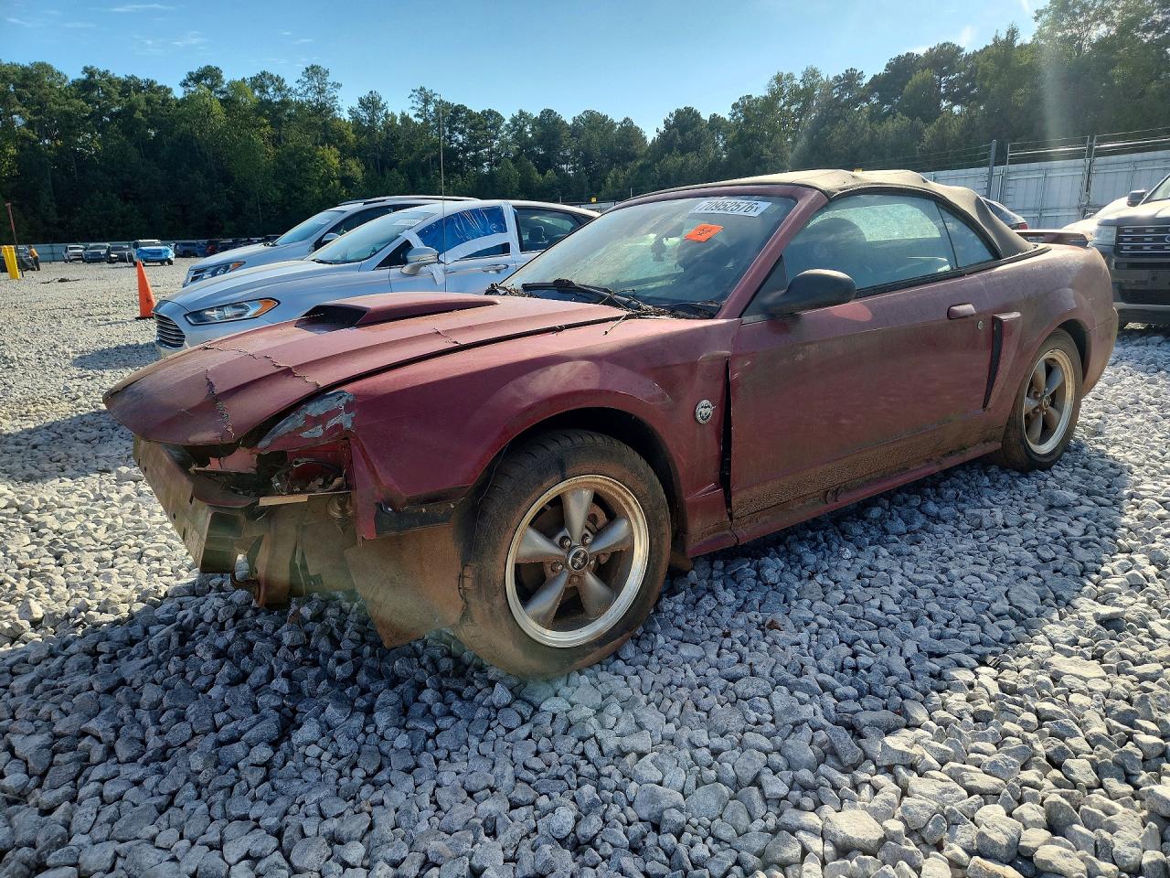 Photo of the 2004 FORD MUSTANG GT