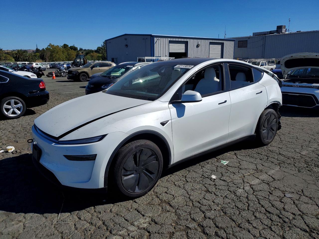 Photo of the 2026 TESLA MODEL Y